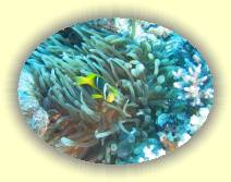 IMG_2007_05_27 14_40_48 * 2272 x 1704 * (668KB)